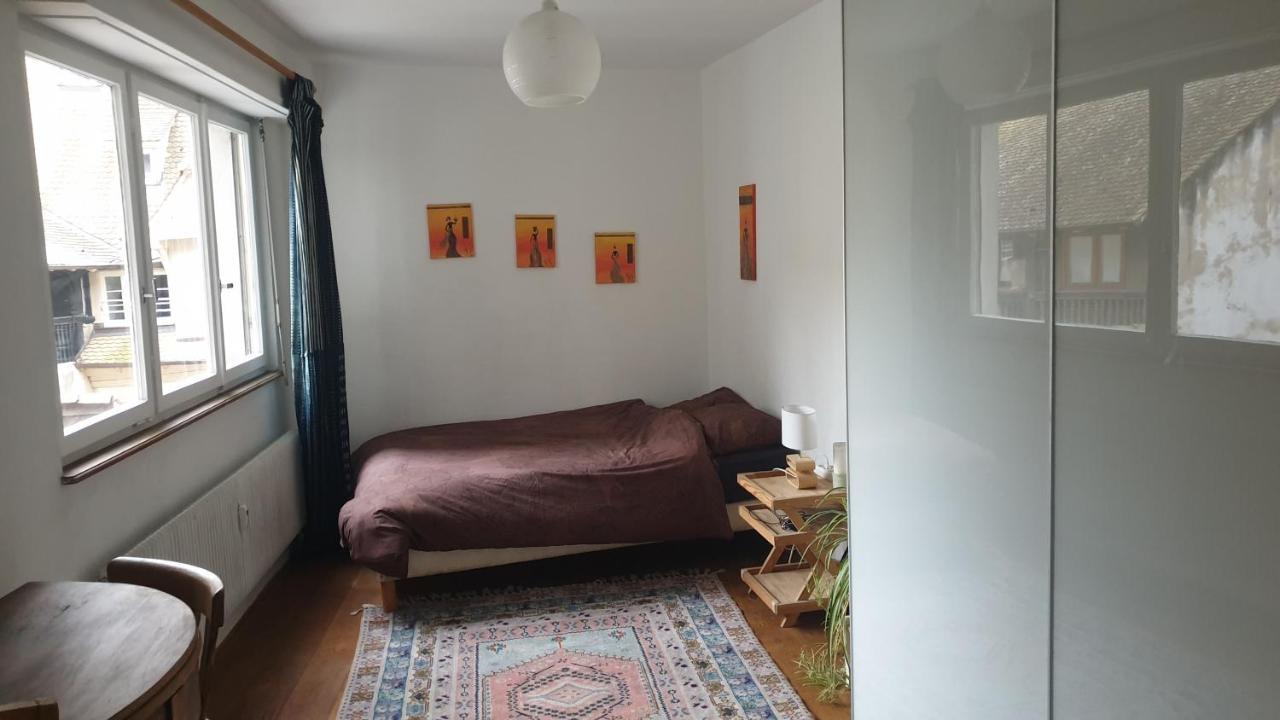 La Puisatiere 80 M2 Apartment Strasbourg Exterior photo