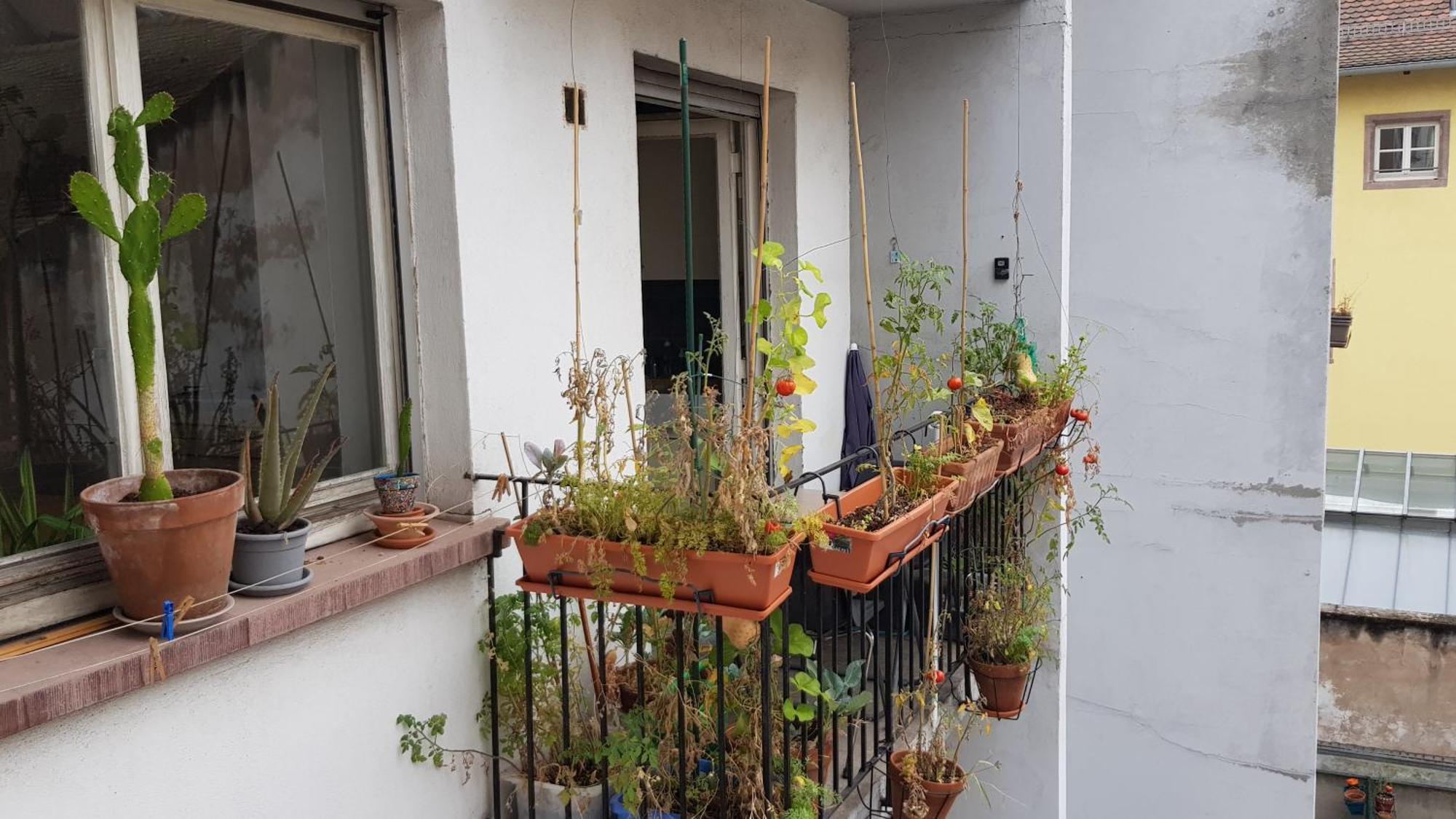 La Puisatiere 80 M2 Apartment Strasbourg Exterior photo